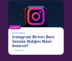 Instagram Birinin Beni Sessize Aldığını Nasıl Anlarım?
